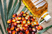 Oil Palm has been found to be of huge economic benefit