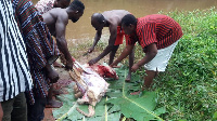 The people gathered at the river banks to slaughter a male sheep and fowls to pacify the gods