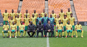 Bafana Bafana Dsa