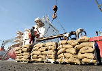 Farmers and traders hoard cocoa beans in anticipation of a price hike