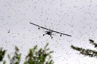 An aircraft sprays locusts in Kenya, | JOSEPH KANYI | NATION MEDIA GROUP