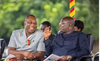 NAPO and Bawumia