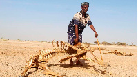 A herder holds a dried-out carcass in Horri Guda, North Horr, Marsabit County