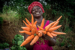 A photo of a carrot farmer