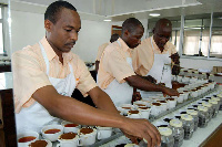 Mombasa Ltd employees arrange various types of tea for testing,  | FILE | NATION MEDIA GROUP