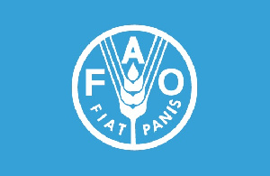 Fao Logo