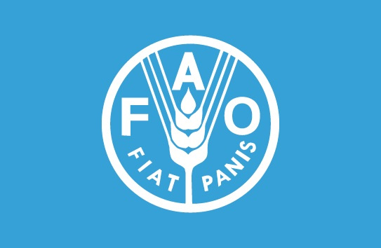 Food and Agriculture Organization (FAO)