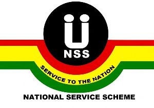 Logo of NSS