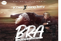 Cover Art for Bra