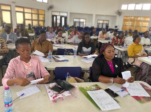 Participants in CAMFED capacity building workshop