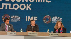 IMF panel