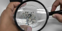 Researchers find microplastics in human blood