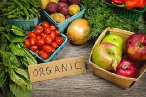 Organic Farming Foods 1