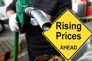 Government can only use the Price Stabilization and Recovery Levy to cushion fuel users