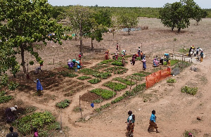  Garden In Yendi098