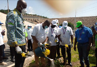 The Authority planted 600 forestry trees acquired from its nursery