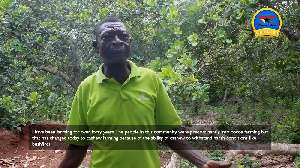 The farmers spoke to GhanaWeb's Frank Aboagye Addo