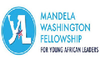 I was selected among 40 Ghanaian leaders to partake in the Mandela Washington Fellowship in the US