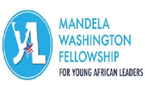 I was selected among 40 Ghanaian leaders to partake in the Mandela Washington Fellowship in the US