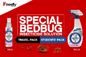 INESFLY BEDBUGS