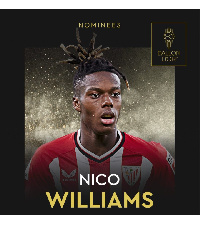 Nico Williams