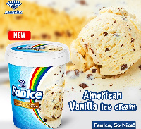 The newly introduced flavour of FanIce