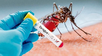 Symptoms of dengue include high fever, severe headache, body aches