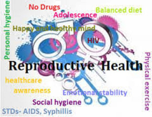 Reproductive Health File