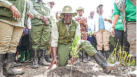 President William Ruto during National Tree Growing Day in Makueni County, Kenya