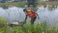 Body of the deceased being retrieved from the pond by an official of NADMO