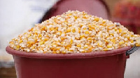 Maize