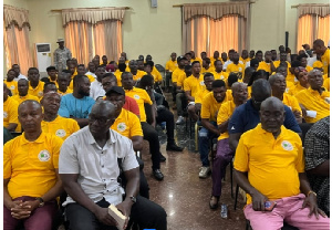 Ghana National Association of Small-Scale Miners (GNASSM)