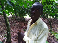 Francis Asiedu Boafo has been farming for 31 years now