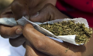 According to Prof. Alex Dodoo the economic potential of marijuana for the country is huge