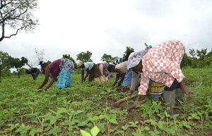 Agric Census