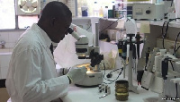 A photo from a laboratory