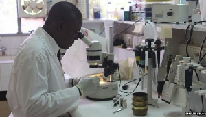 The file photo shows a lab technician at work