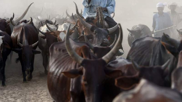 File photo: The security council says it is taking proactive steps against the influx of herdsmen