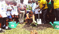 Diana Acconcia, European Union Ambassador to Ghana planting a tree