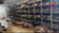 Hundreds of dead bodies are piled up at the Korle Hospital mortuary