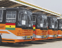 Library photo: Metro Mass buses