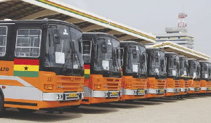 A Photo Of Metro Mass Buses