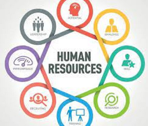 Human Resources Image.jfif