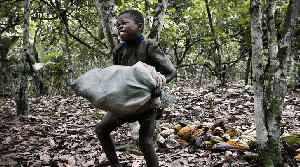 Child Labour On Cocoa