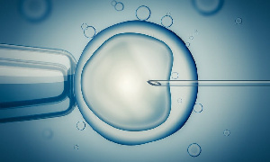 IVF Lab Frozen Eggs