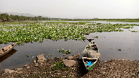 Large volumes of the water body are covered in the weeds