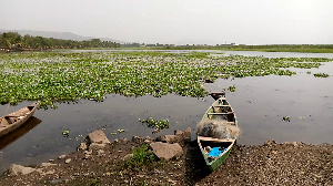 Large volumes of the water body are covered in the weeds