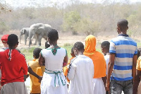 School children observing an elephant