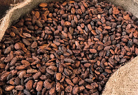 File photo of cocoa beans