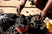 Some farmers have ventured into charcoal production causing forest reserves to deplete